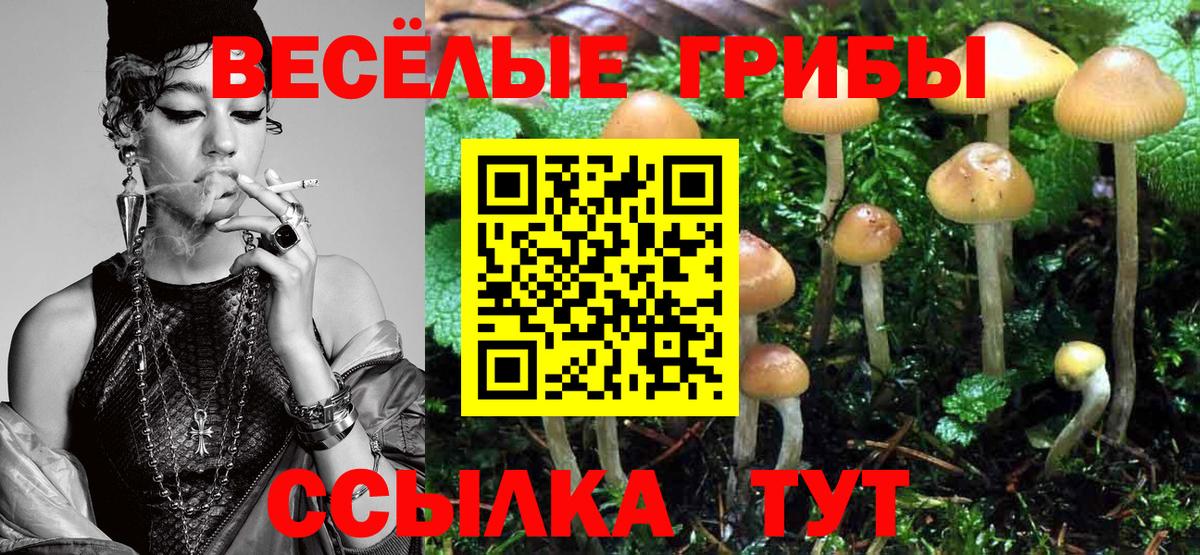 Псилоцибиновые грибы прущие грибы Заринск