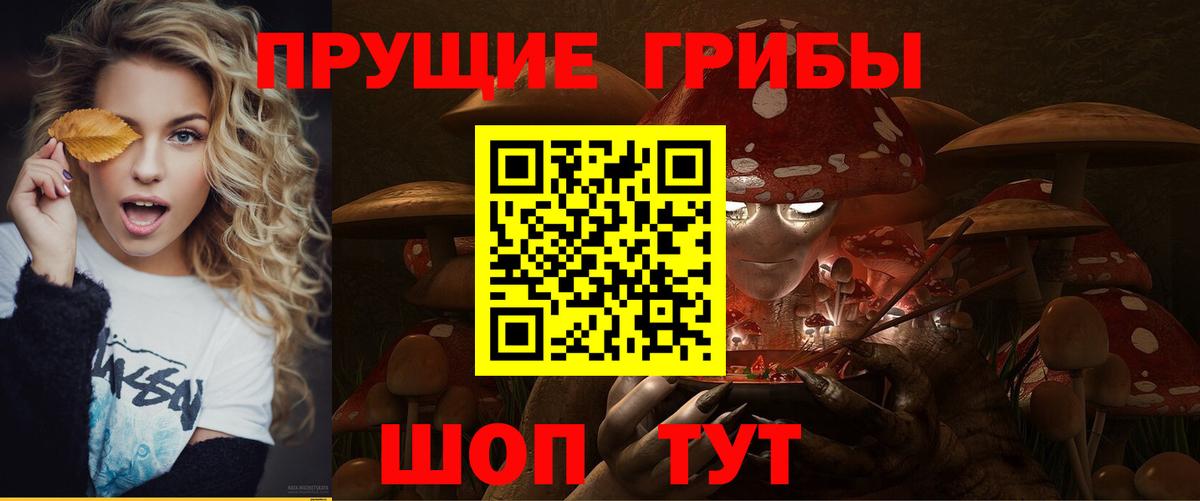 Псилоцибиновые грибы ЛСД  Псилоцибиновые грибы Psilocybine cubensis  Вход с VPN  Заринск 
